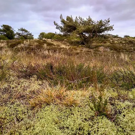 5 Person In Holiday home *